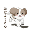 京都弁を話すシーズー犬 ポンタ（個別スタンプ：1）