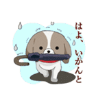 京都弁を話すシーズー犬 ポンタ（個別スタンプ：2）