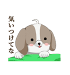 京都弁を話すシーズー犬 ポンタ（個別スタンプ：10）