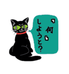博多弁メッセンジャー「黒猫のリル2」（個別スタンプ：12）