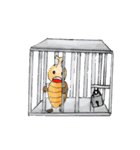 Insecta（個別スタンプ：31）