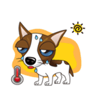 可愛いチワワ（個別スタンプ：9）