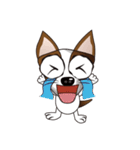 可愛いチワワ（個別スタンプ：10）