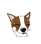 可愛いチワワ（個別スタンプ：33）
