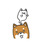 柴犬のさとうくん（個別スタンプ：10）