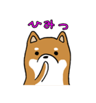 柴犬のさとうくん（個別スタンプ：37）