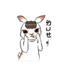 Crazy Rabbit M.M（個別スタンプ：12）