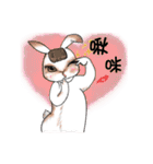 Crazy Rabbit M.M（個別スタンプ：13）