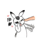 Crazy Rabbit M.M（個別スタンプ：18）