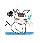 Crazy Rabbit M.M（個別スタンプ：20）