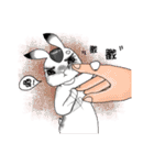 Crazy Rabbit M.M（個別スタンプ：21）