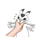 Crazy Rabbit M.M（個別スタンプ：22）