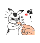 Crazy Rabbit M.M（個別スタンプ：23）