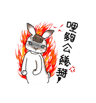 Crazy Rabbit M.M（個別スタンプ：25）