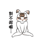 Crazy Rabbit M.M（個別スタンプ：28）