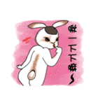 Crazy Rabbit M.M（個別スタンプ：31）
