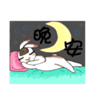 Crazy Rabbit M.M（個別スタンプ：40）