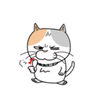 ねこ山のネコ達（個別スタンプ：12）