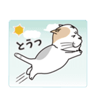 ねこ山のネコ達（個別スタンプ：30）