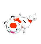 Fancy carp（個別スタンプ：24）