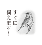 敬語deデッサン（個別スタンプ：18）