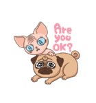 Buboo Yuyoo (Pug ＆ Sphynx)（個別スタンプ：20）