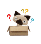 ボトスねこ v1（個別スタンプ：39）