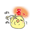 Canaria Maria 2015 夏スタンプ（個別スタンプ：1）