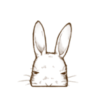 アリスのウサギ2（個別スタンプ：10）