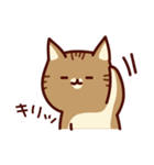 前田さんちの猫スタンプ（個別スタンプ：3）