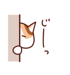 前田さんちの猫スタンプ（個別スタンプ：9）