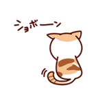 前田さんちの猫スタンプ（個別スタンプ：16）