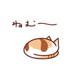 前田さんちの猫スタンプ（個別スタンプ：24）