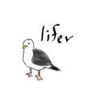日本の海鳥（個別スタンプ：17）