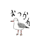 日本の海鳥（個別スタンプ：19）
