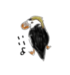 日本の海鳥（個別スタンプ：36）