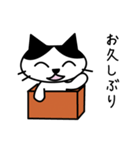 しろとくろのねこ 2（個別スタンプ：1）