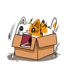 Salmon In The Box（個別スタンプ：9）