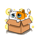 Salmon In The Box（個別スタンプ：17）