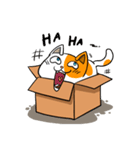 Salmon In The Box（個別スタンプ：20）