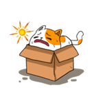 Salmon In The Box（個別スタンプ：28）