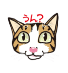 愉快なニャンコの仲間達（個別スタンプ：7）