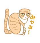 愉快なニャンコの仲間達（個別スタンプ：15）