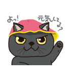 愉快なニャンコの仲間達（個別スタンプ：17）