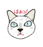 愉快なニャンコの仲間達（個別スタンプ：32）