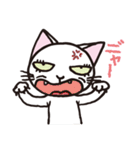 半目の白い猫（個別スタンプ：1）