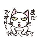 半目の白い猫（個別スタンプ：4）