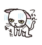 半目の白い猫（個別スタンプ：13）