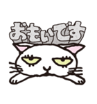 半目の白い猫（個別スタンプ：19）