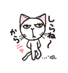 半目の白い猫（個別スタンプ：24）